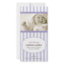 Sweet Ticking Stripe Birth Announcement Photo Card photo cards