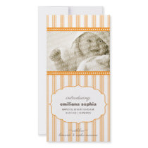 Sweet Ticking Stripe Birth Announcement Photo Card photo cards