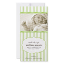 Sweet Ticking Stripe Birth Announcement Photo Card photo cards