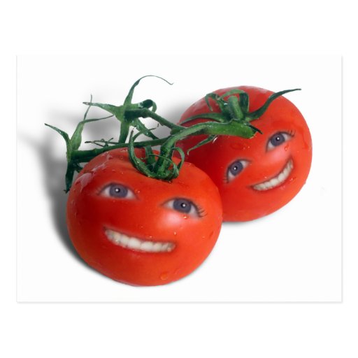 Sweet Tomatoes Postcards