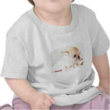 Sweet wee puppies t-shirt