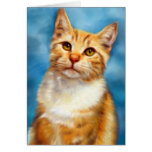 Sweet William - Orange Tabby Cat Art Cards