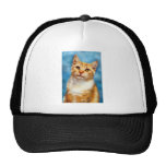 Sweet William - Orange Tabby Cat Art Hat