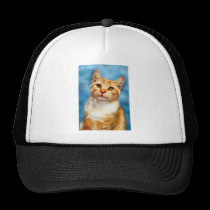 Sweet William - Orange Tabby Cat Art hats
