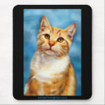 Sweet William - Orange Tabby Cat Art Mouse Pad