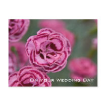 Sweet William | Wedding Congratulation postcards