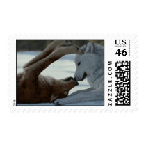 Sweet wolf couple postage
