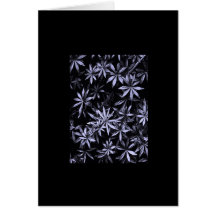 Sweet Woodruff Design Card