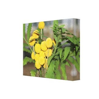 Sweet Yellow Flowers Print wrappedcanvas