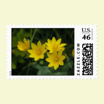 Sweet Yellow postage