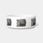 Sweet Zack Cat Bowls