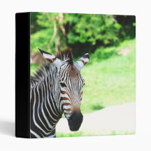 Sweet Zebra Binder