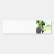 Sweet Zebra  Bumper Sticker