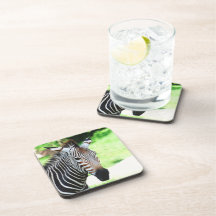 Sweet Zebra Drink Coasters