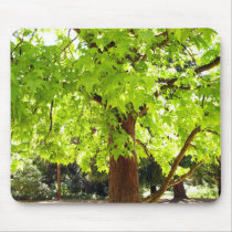 Sweetgum mousepads