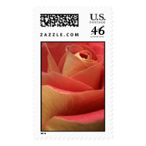 Sweetheart Rose postage by TDSwhite Sweetheart Rose postage