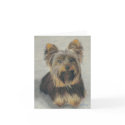 Sweetie cards by carolmotsinger Sweetie cards