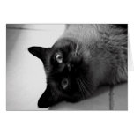 Sweetie Greeting Cards