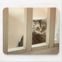 Sweetie Looks Thru Balcony Railing mousepads