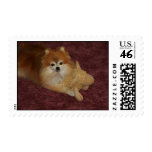 SWEETIE PEACHES POMERANIAN postage