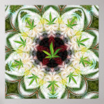 Sweetleaf Mandala Print