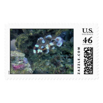 Sweetlips postage by piecey18 Sweetlips postage