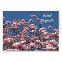 sweetmagnolia, Sweet Magnolia cards