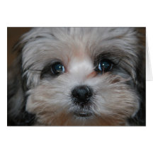 Sweetness personified greeting card