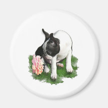 Sweetpea Refrigerator Magnet