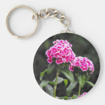 sweetwilliams.jpg keychain