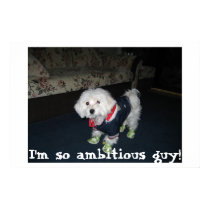 Sweety puppy posters
