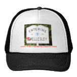 SwellesleyRed, www.theswellesleyreport.com Mesh Hat