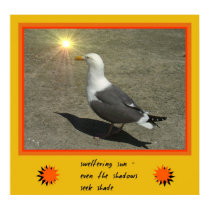 Sweltering Sun Print