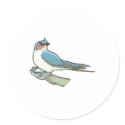 swift bird stickers