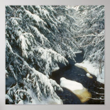 Swift River Hemlocks Winter Print