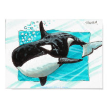 Swim Along posters