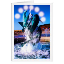 SWIM WITH DOLPHINS cards