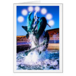 SWIM WITH DOLPHINS cards