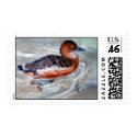 Swimming aceo postage by bmthour Swimming aceo postage