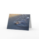 "Swimming Along" Greeting Card