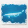 Swimming Beluga Whales Mouse Pad