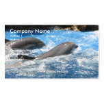 Swimming Dolphin Business Card