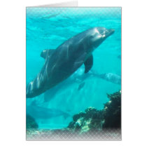 Swimming Dolphin Greeting Card