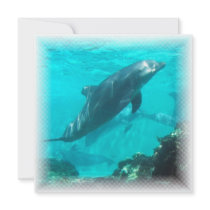 Swimming Dolphin Invitation