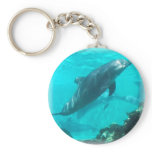 Swimming Dolphin Keychain