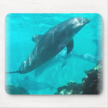 Swimming Dolphin Mouse Pad