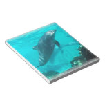 Swimming Dolphin Notepad
