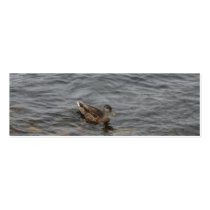 Swimming Duck Bookmark business cards