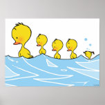 Swimming duck family posters