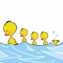 Swimming duck family sticker